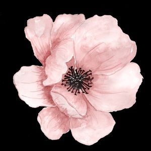 Meet your Posher, Naomi